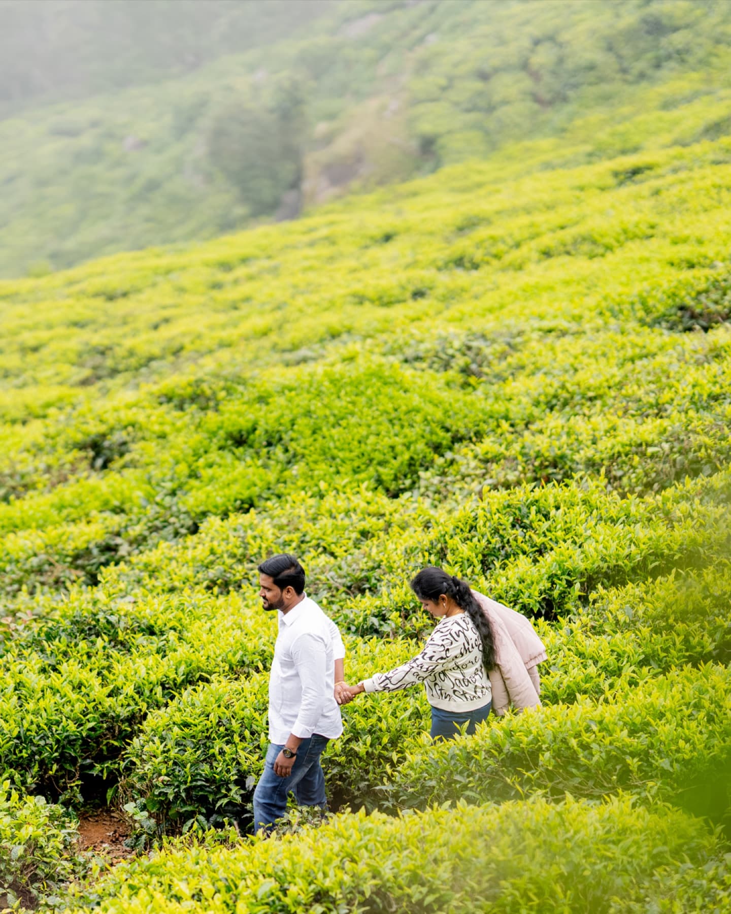 Couple walking through a tea plantation for a pre-wedding shoot